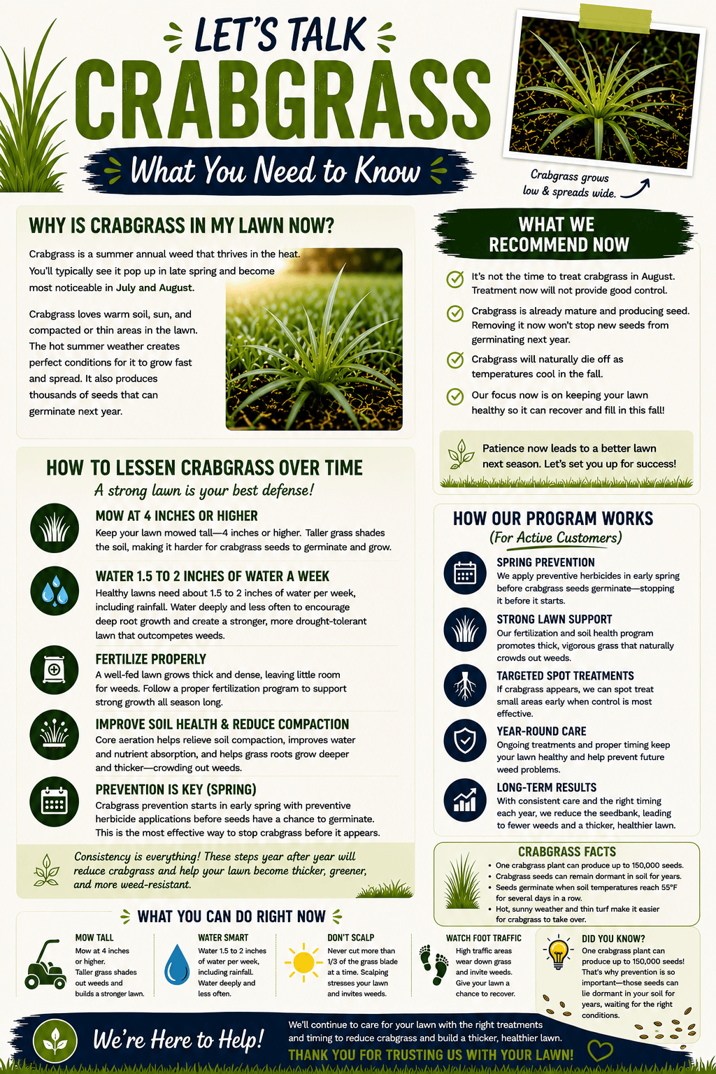 Let's Talk Crabgrass - What You Need to Know